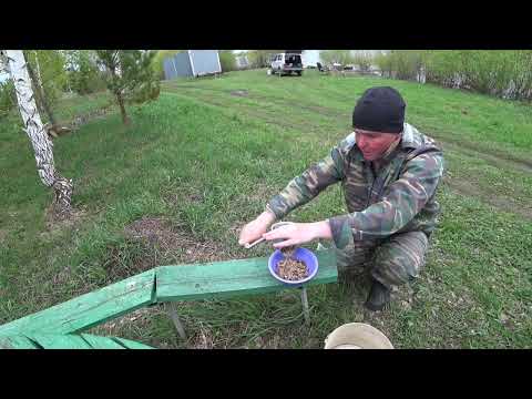 Видео: Карп Деман!!! Рыбалка в Учалле