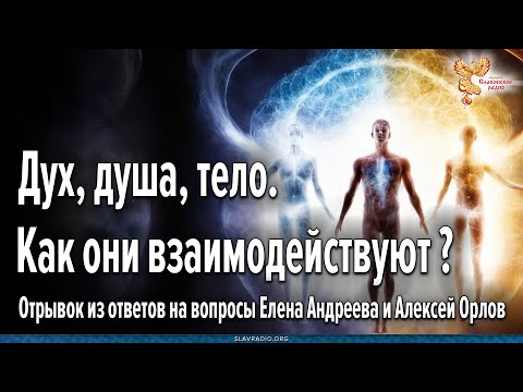 Видео: Как взаимодействуют Дух, Душа, Тело? Алексей Орлов.