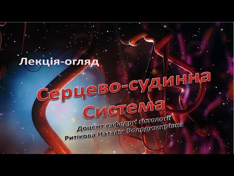 Видео: Лекція огляд:  Серцево - судинна система.