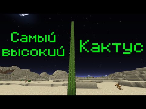 Видео: Самый Высокий Кактус в Minecraft - Неразгаданная тайна