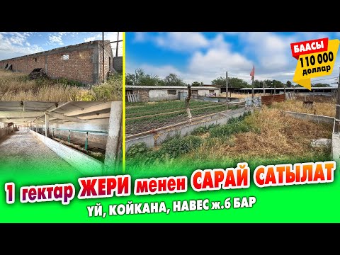 Видео: Жакшы ЖЕРДЕН кенен САРАЙ сатылат ~ Жери 1 гектар. Чөпкана, койкана, навес, очоккана, үй бар