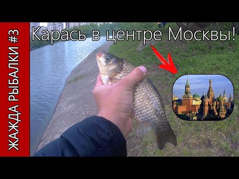 Видео: Карась на боковой кивок в Москве. Летняя мормышка (безмотылка).