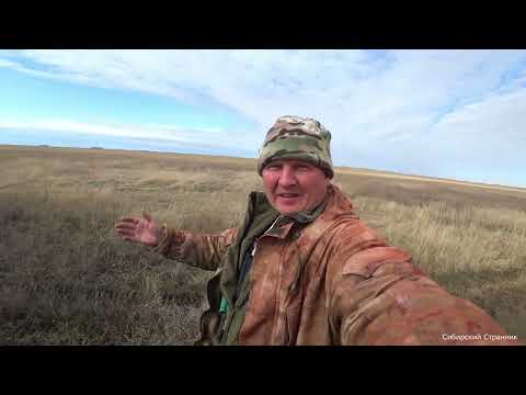 Видео: Нашел лужу. Поставил чучела и дело пошло