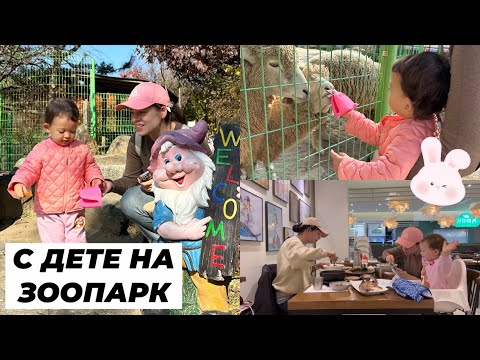 Видео: С дете на ЗООПАРК . Бой за моркови и патешки дуел 🦆 Опитахме странна КОРЕЙСКА ХРАНА !