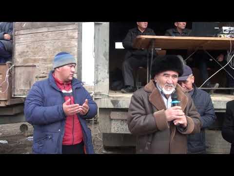Видео: 25 01 2020 кокпар