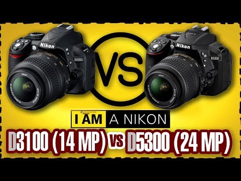 Видео: Сравнение зеркалок Nikon d3100 vs d5300