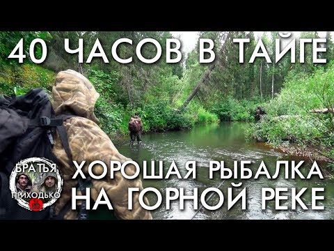 Видео: 40 ЧАСОВ В ТАЙГЕ / ХОРОШАЯ РЫБАЛКА НА ГОРНОЙ РЕКЕ