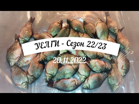 Видео: Первый лед - Уелги. Клёв карася. Открытие зимнего сезона 2022-2023. Icefishing.
