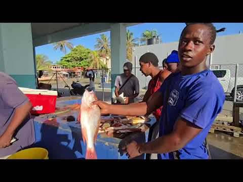 Видео: Жизнь рыбака из Деннери | Раннее утро в море в Сент-Люсии..