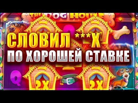 Видео: СЛОВИЛ МНОГО БУДОК И БОЛЬШОЙ ВЫИГРЫШ В DOG HOUSE ПО ХОРОШЕЙ СТАВКЕ!