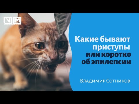 Видео: Какие бывают приступы или коротко об эпилепсии
