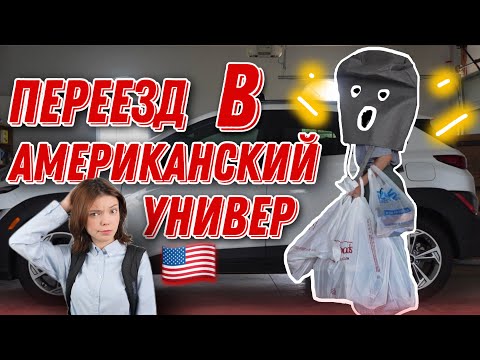 Видео: Мой переезд в универ.  Влог. Mash Mash