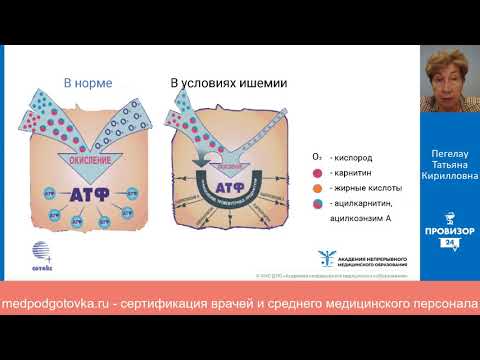 Видео: Комбинированная кардиопротекция у пациентов высокого сердечно-сосудистого риска