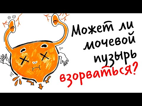 Видео: Может ли мочевой пузырь ВЗОРВАТЬСЯ? — Научпок