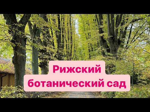 Видео: В ботаническом саду ☘️🪴🌴🌵