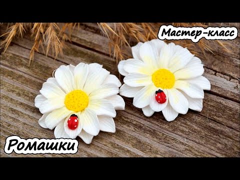 Видео: Ромашки ❤ Мастер-класс для новичков ❤ Полимерная глина ❤ Мастер-класс ❤ Polymer clay tutorial