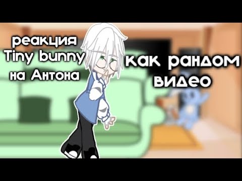 Видео: реакция 𝚝𝚒𝚗𝚢 𝚋𝚞𝚗𝚗𝚢 на Антона как рандом 1/3    (опис)