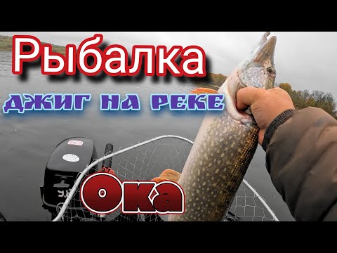 Видео: Как поймать трофейную рыбу осенью? Джиг на реке Оке!