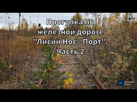 Видео: Прогулка по железной дороге "Лисий Нос - Порт". Часть 2 