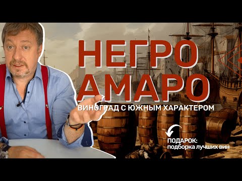 Видео: [НЕГРОАМАРО] - вино с южным характером
