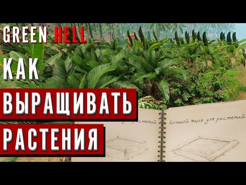 Видео: Как ВЫРАЩИВАТЬ РАСТЕНИЯ в GREEN HELL | Гайд