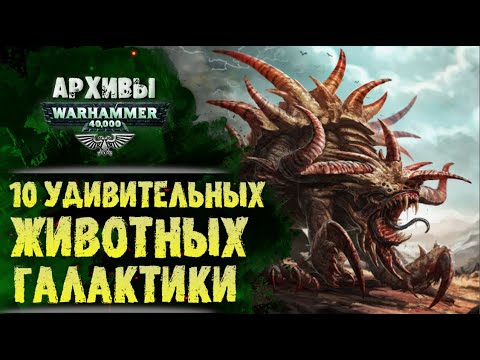 Видео: Необычные существа галактики Warhammer 40000
