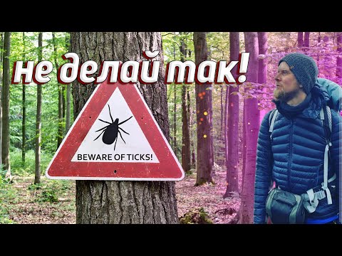 Видео: 5 СМЕРТЕЛЬНЫХ СПОСОБОВ! КАК НЕ НАДО ДОСТАВАТЬ КЛЕЩЕЙ!