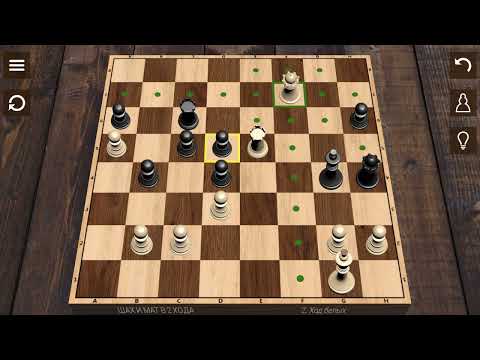 Видео: Шахматы 1 - 30 задачи