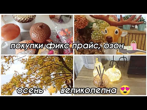 Видео: ПОКУПКИ ФИКС ПРАЙС 🛍 ОЗОН 🛍 МАГНИТ КОСМЕТИК