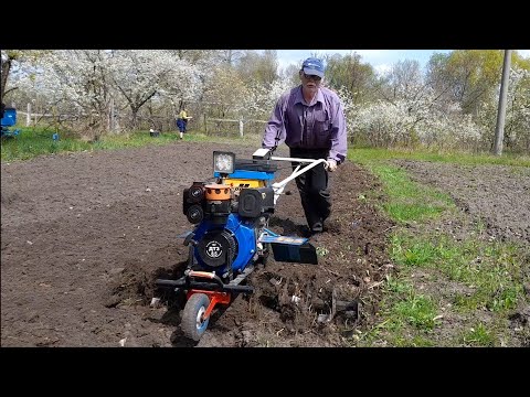 Видео: Посадка картошки после ФРЕЗЕРОВКИ мотоблоком