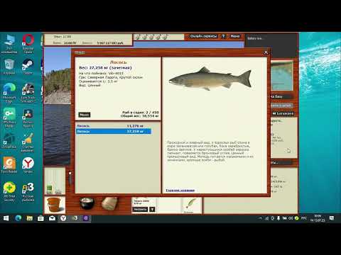 Видео: Как и где наловить икры в Русской Рыбалке 3.99