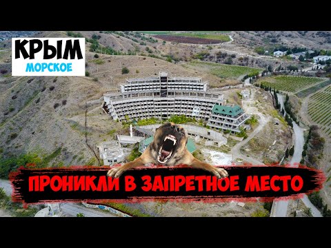 Видео: Морское - ОГРОМНЫЙ ЗАБРОШЕННЫЙ ПАНСИОНАТ | Что это за место?