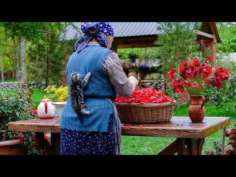 Видео: Ароматы весны - Собираем цветы мака для варенья