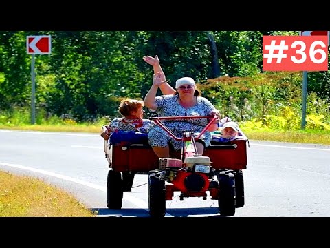 Видео: Я ржал до слез 😂 30 Минут смеха 2025 Смешные видео Приколы с животными!Подборка #36
