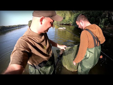 Видео: Це якісь "Машини" клюють! Рибалка на здорових риб на Дніпрі.