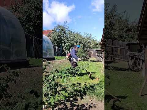 Видео: 30 августа 2025 г.