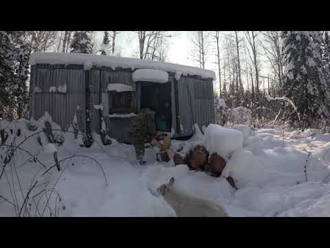 Видео: пробил путик