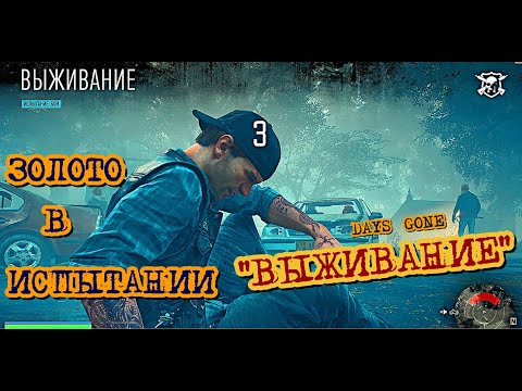 Видео: Days Gone Испытания Выживание Золото Смотреть на скорости 1,25 - Будет Угарно )))  Жизнь После