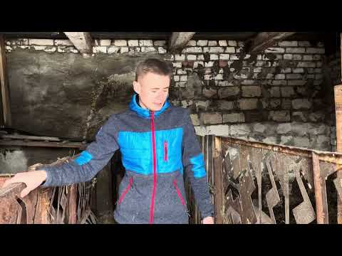 Видео: Чи варто займатися свинями в 2025 році❓ І які умови для них❓