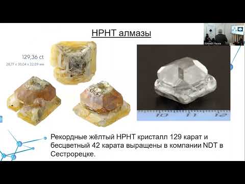 Видео: Семинар «Как вырастить “Куллинан” и как его отличить от настоящего?»