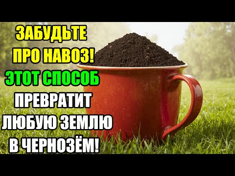 Видео: Лучшая замена навозу — как превратить землю в чернозём