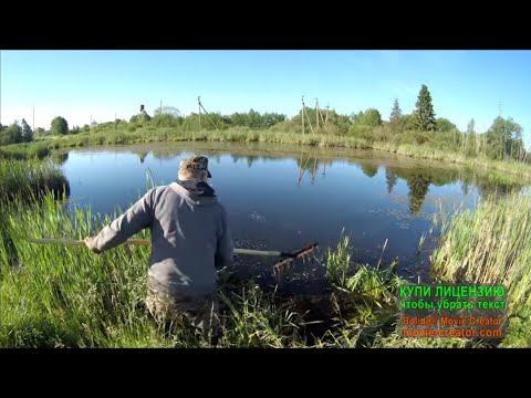 Видео: Ловля карася.Чистка места для рыбалки.