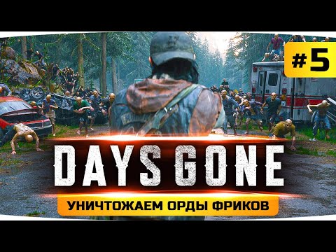 Видео: ДОБЫВАЕМ ДИНАМИТ ● Проходим Шедевр Days Gone / Жизнь После #5