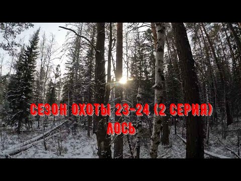Видео: Охота 23-24 (2 серия)