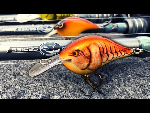 Видео: ДЕЙСТВИТЕЛЬНО ЛУЧШИЙ СПОСОБ ПОЛЕТЬ НА ОКУНЯ ПОЗДНЕЙ ОСЕНЬЮ