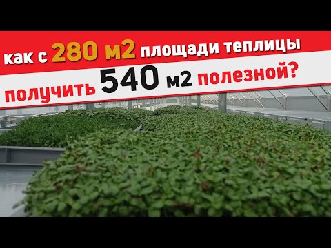 Видео: Фермерская теплица для бизнеса со стеллажами // Увеличиваем эффективность в 2 раза!