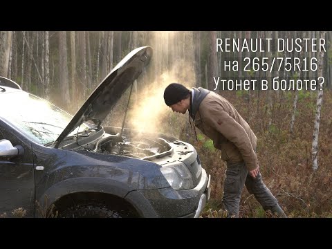Видео: Рено Дастер на болоте: провалится или нет? / Renault Duster on swamp / Maxxis Razr AT 265/75R16