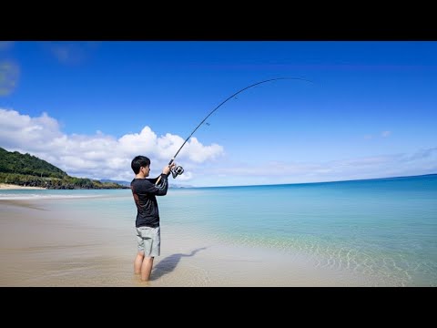 Видео: Живая наживка в чистейших водах Оаху! | Papio Action!