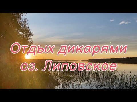 Видео: Отдых и рыбалка на оз. Липовское с палатками.