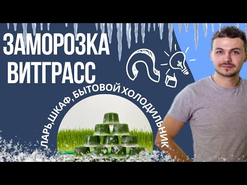 Видео: Как усовершенствовать морозильник и Чем заморозить Сок Витграсс? | Народные Семена